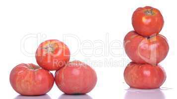 Biological tomatoes