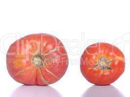 Biological tomatoes