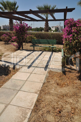 Bench and bougainvillea flowers