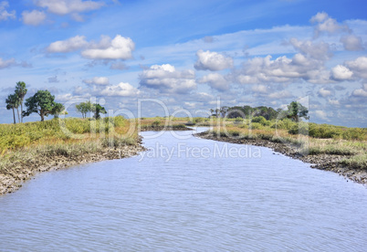 River With Trees And Sky