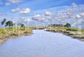 River With Trees And Sky