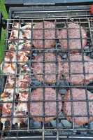 Meat on Barbecue