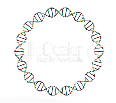 DNA circle