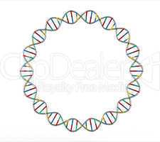 DNA circle