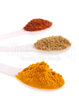 Indian spices in spoons