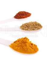 Indian spices in spoons