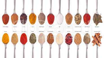 Spices collection on spoons