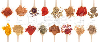 Spices collection on spoons