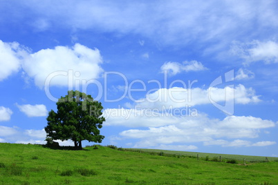 Landschaft im Frühling