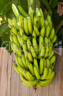 Head of bananas