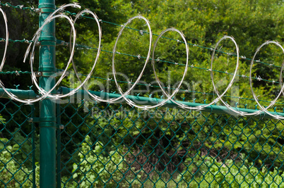 Razor wire