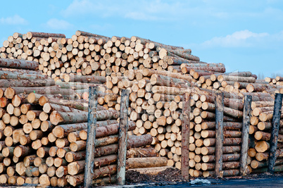 Lumber in Factory Yard