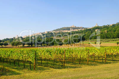 Assisi 08