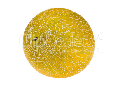 Sweet fresh yellow melon