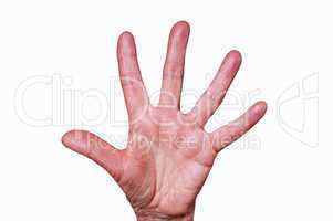 Hand mit fünf Fingern