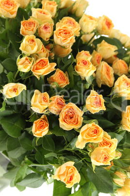 Bouquet of roses