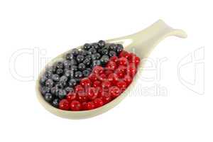 Blueberries and currants