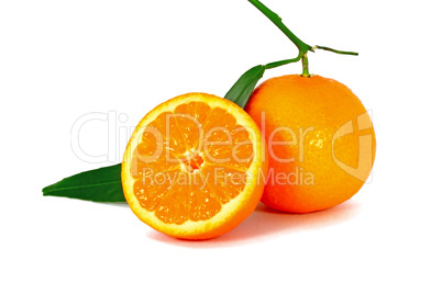 Sweet orange