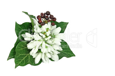 Bouquet of snowdrops