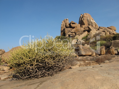 Granite Mountain And Cactus In Hampi, India.