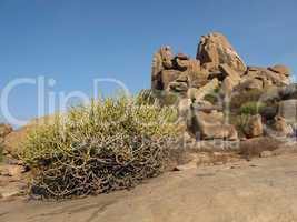 Granite Mountain And Cactus In Hampi, India.