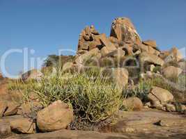 Granite mountain and cactus