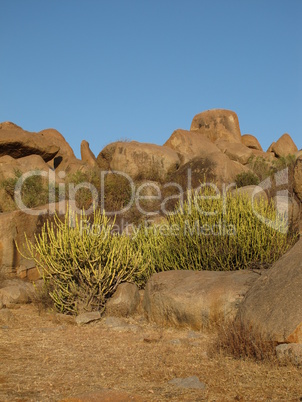 Granite boulders and cactus