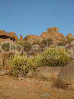 Granite boulders and cactus