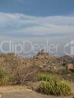 Granite Mountains And Cactus In Hampi