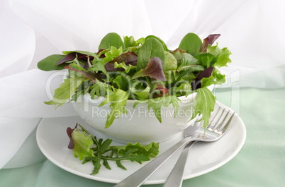 Mix of different varieties of lettuce