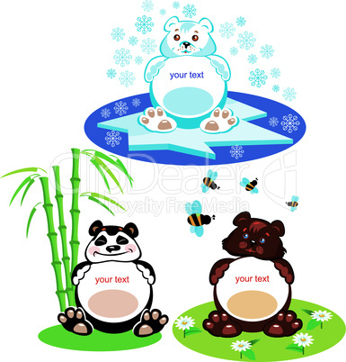 Set of oval frames - animals for kids - 3 bears - brown bear, panda, polar bear