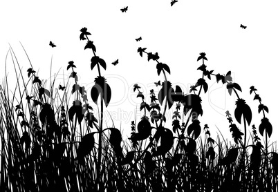 meadow silhouettes