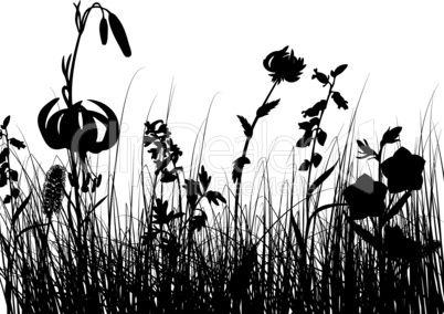 meadow silhouettes