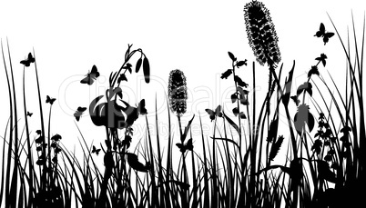 meadow silhouettes