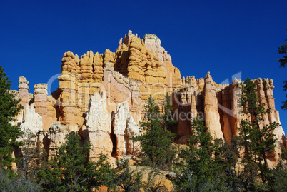 Rock towers and trees , Bryce Canyon National Park, Utah