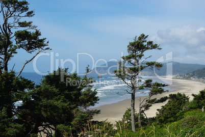 Wind bent trees, beach, waves and cliffs, Pacific coast, Oregon