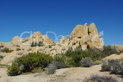Rocks, yucca and blue sky, Joshua Tree National Park, California