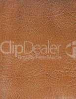 High resolution brown leather texture