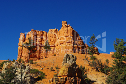 Wonderland of rocks, Bryce Canyon National Park, Utah