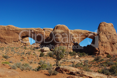 Watchful eyes and big nose, Arches National Park