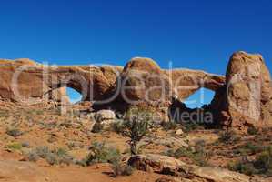 Watchful eyes and big nose, Arches National Park