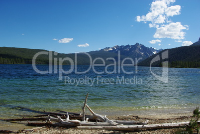 Logs on Redfish Lake shore, Idaho