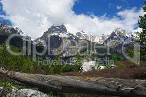 Dry log, boulders, forest and Grand Teton giants, Wyoming