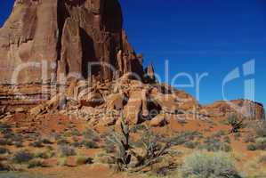 Dry plant and brown/orange rocks in Arches National Park, Utah