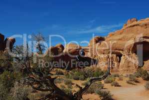 Multiple arches and rocks in Arches National Park, Utah