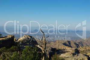 View of Tucson, distant mountain ranges and desert from Mount Lemmon, Arizona