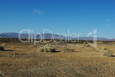 Desert near Tecopa Hot Springs, California