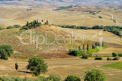 Podere im Herbst - Podere in fall 20