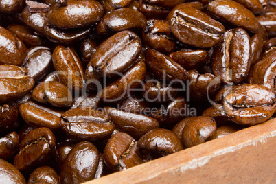 Coffee beans