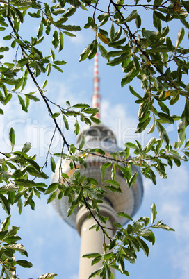 berliner fernsehturm